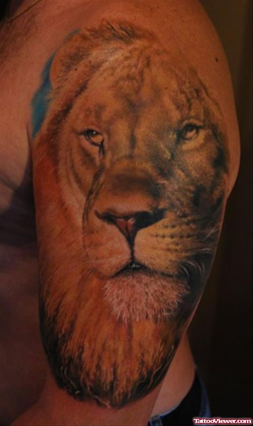 Left Half Sleeve Lion Tattoo