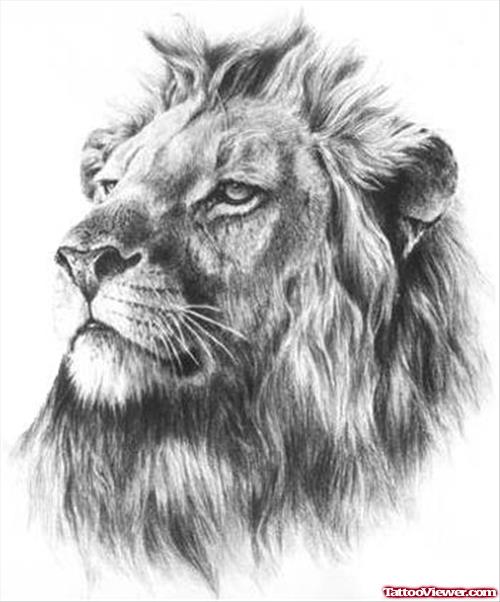 Quality Grey Ink Lion Head Tattoo Design
