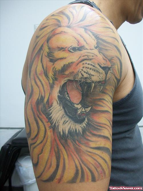 Color Lion Head Tattoo On Right Shoulder