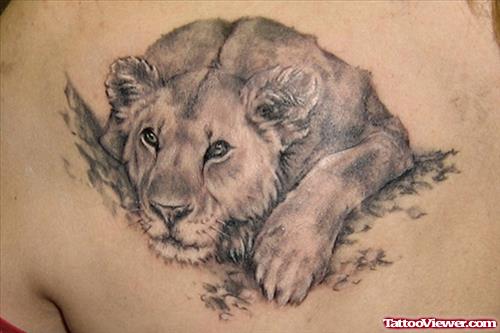 Classic Grey Ink Lion Tattoo On Back