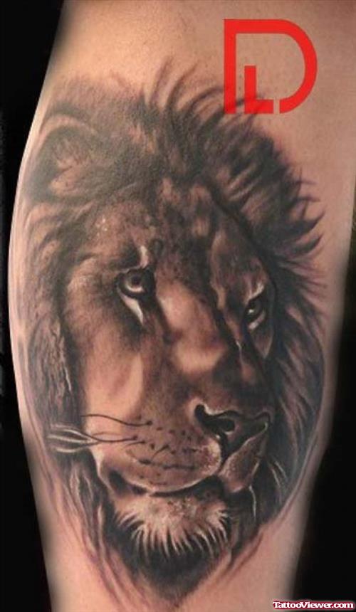 Awesome Grey Ink Lion Tattoo