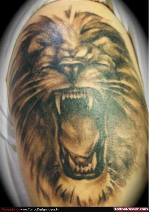 Latest Grey Ink Lion Head Tattoo On Shoulder