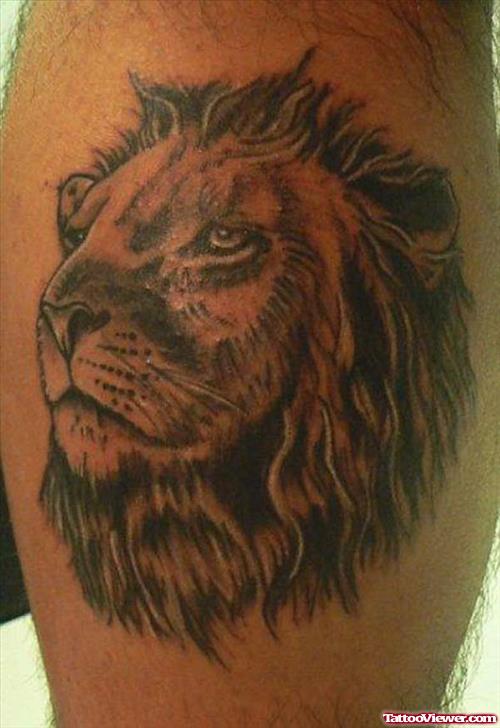 Awesome Grey Ink Lion Head Tattoo