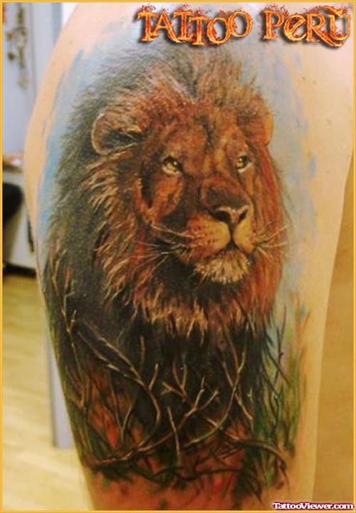 Colored Lion Tattoo On Right Sleeve