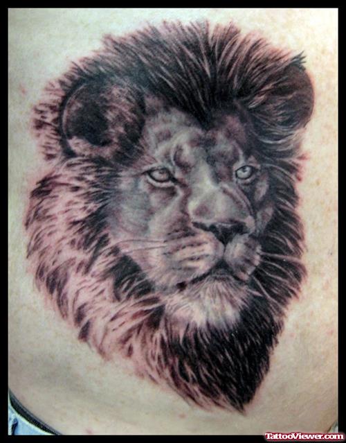 Amazing Grey Ink Lion Head Tattoo