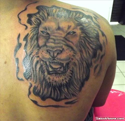 Wonderful Right Back Shoulder Lion Tattoo