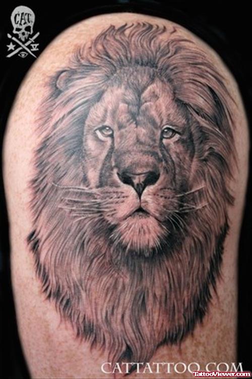 Grey Ink Lion Face Tattoo On Shoulder