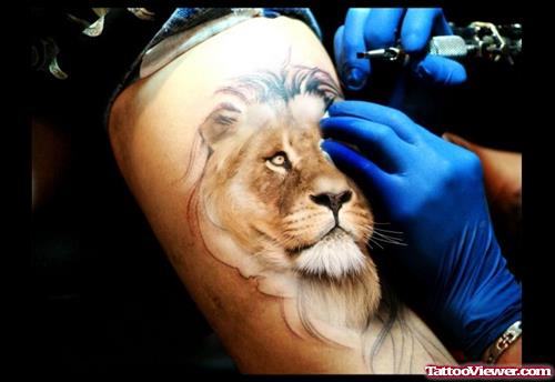 Awesome Lion Tattoo In Process