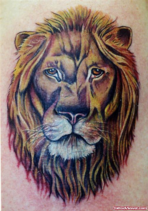 Awesome Colored Lion Head Tattoo