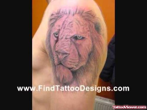 Man Left Shoulder Lion Tattoo