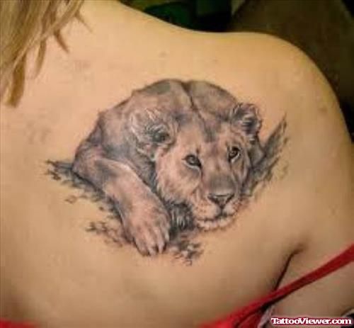 Grey Ink Lion Tattoo On Right Back Shoulder