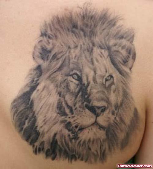 Grey Ink African Lion Tattoo On Back Shoulder