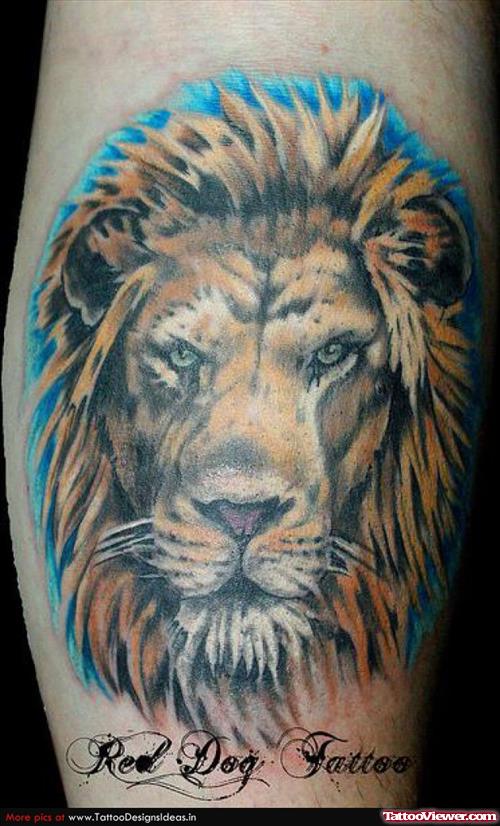 Beautiful Color Ink Lion Head Tattoo