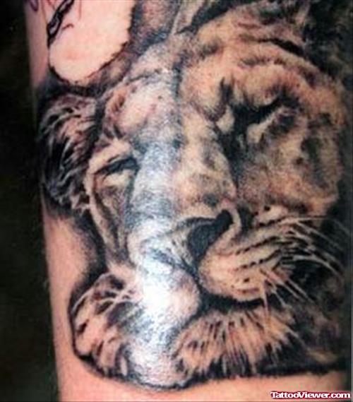 Awesome Grey Ink Lion Tattoo On Arm