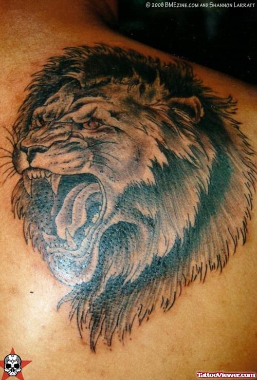 Nice Back Shoulder Lion Head Tattoo