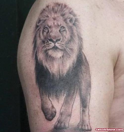 Beautiful Lion Tattoo On Shoulder