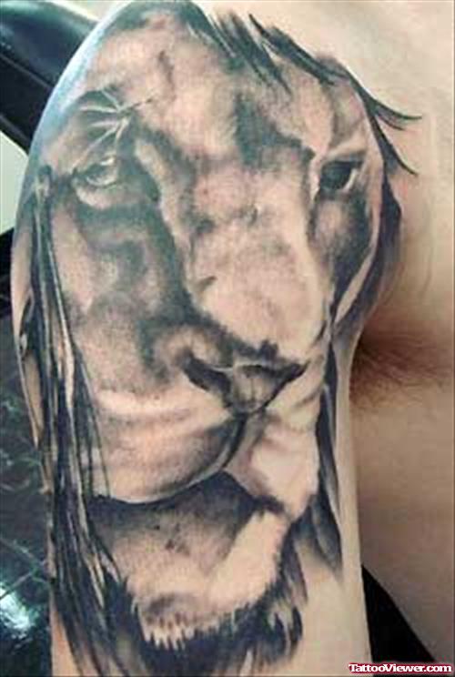 Beautiful Grey Ink Lion Tattoo On Right Shoulder