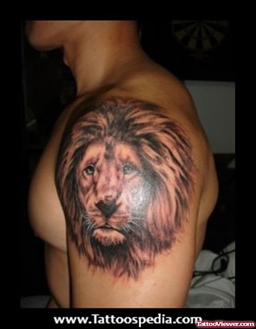 Beautiful Grey Ink Lion Tattoo On Left Shoulder