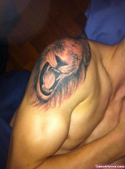 Lion Tattoo On Right Shoulder