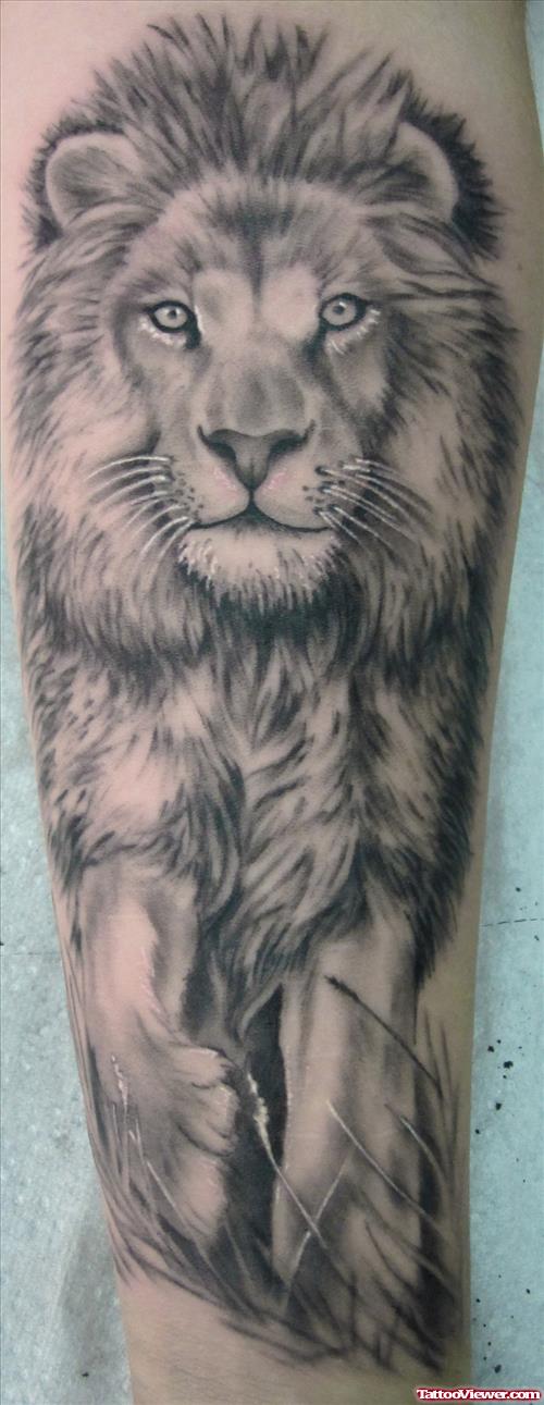 Grey Ink Lion Tattoo On Arm