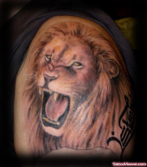 Amazing Roaring Lion Tattoo On Left Shoulder