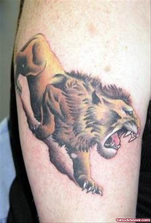 Angry Lion Tattoo On Bicep