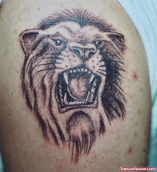 Angry Lion Tattoo For Shoulder