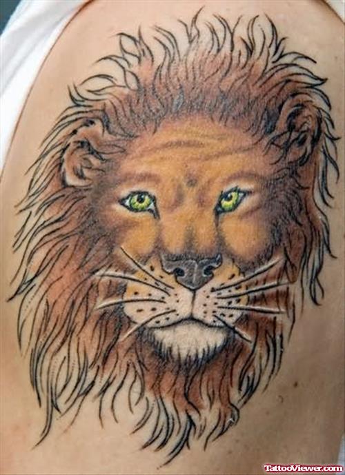 Baby Lion Tattoo On Shoulder