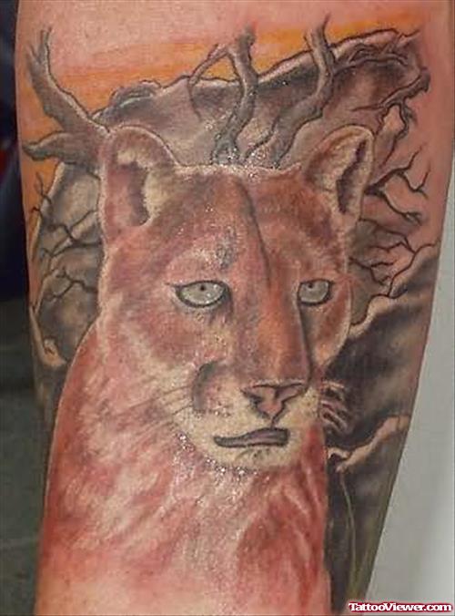 Kane Lion Tattoo