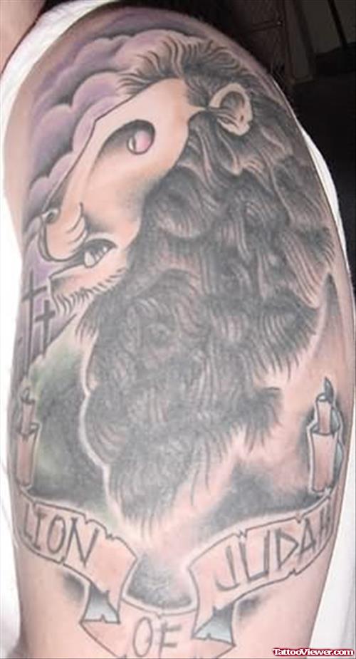 Judah Lion Tattoo On Shoulder