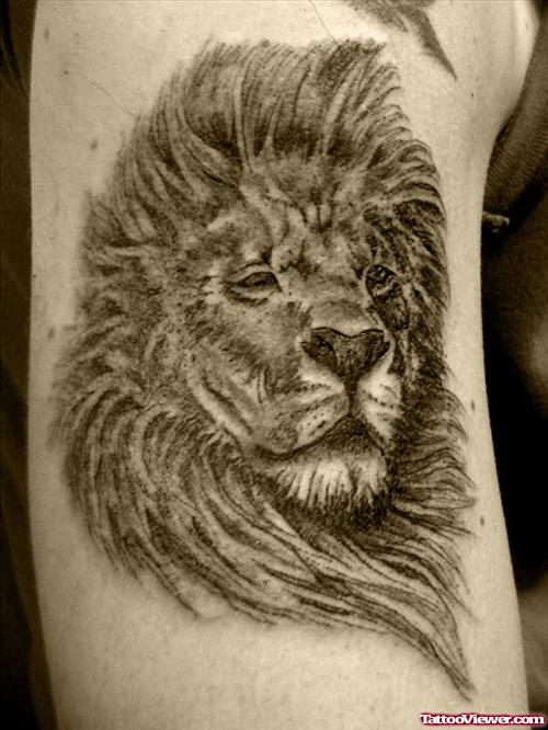 Lion Grey Tattoo