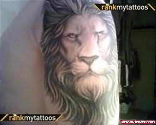 Big Face Lion Tattoo