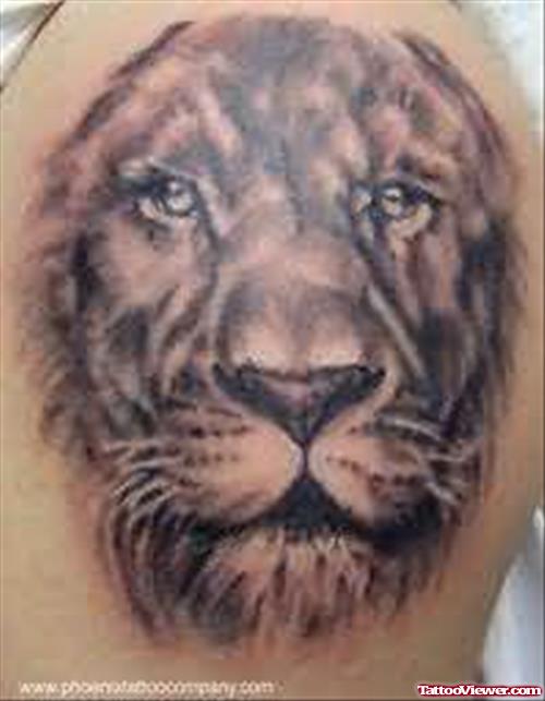 Amzing Lion Closeup Tattoo