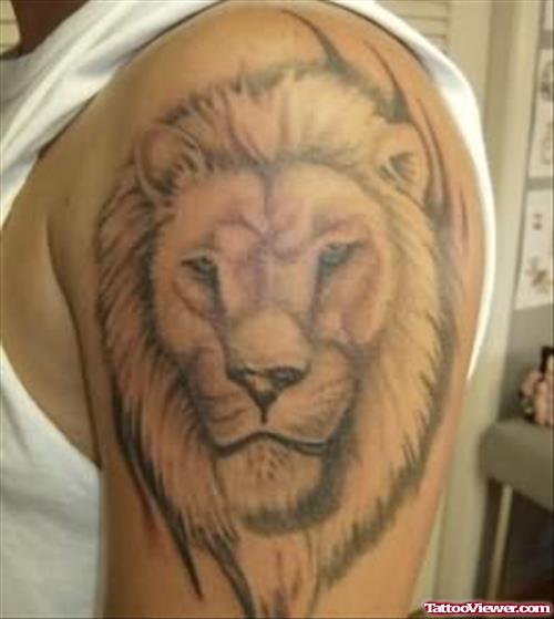Lion Head Tattoo For Boys