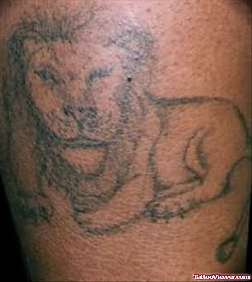 Lion Tattoo Outline Picture