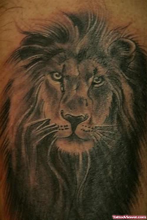 Abcaf Lion Tattoo