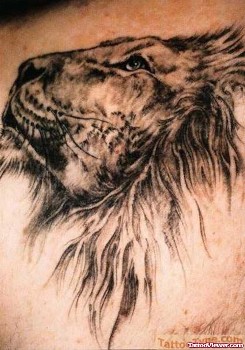 Album Lion Tattoo Image