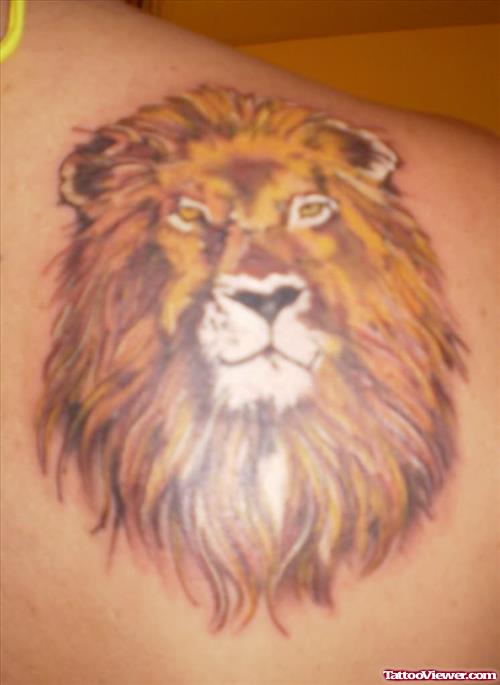 Lion Tattoo For Back Shoulder