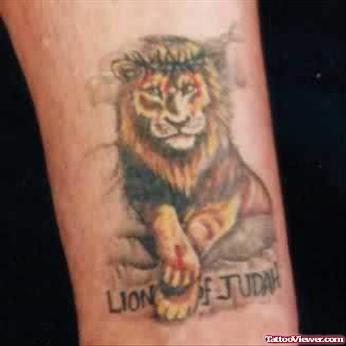 Beautiful Lion Of Judah Tattoo