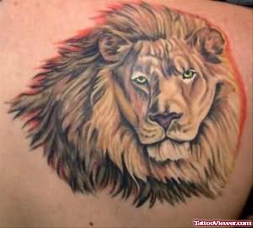 Beautiful Lion Head Tattoo