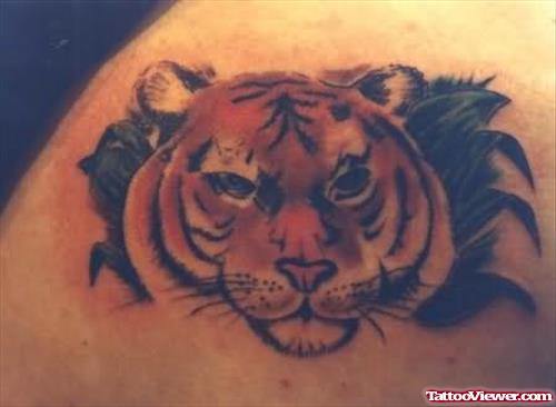 Lion and Tiger Tattoo Design