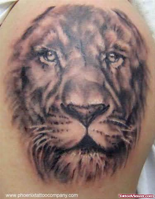 Latest Tattoo Design For Lion