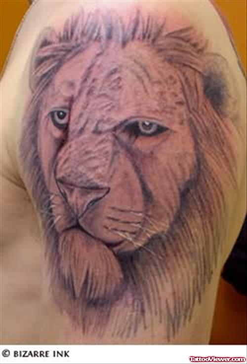 Lion Tattoo On Arm Shoulder