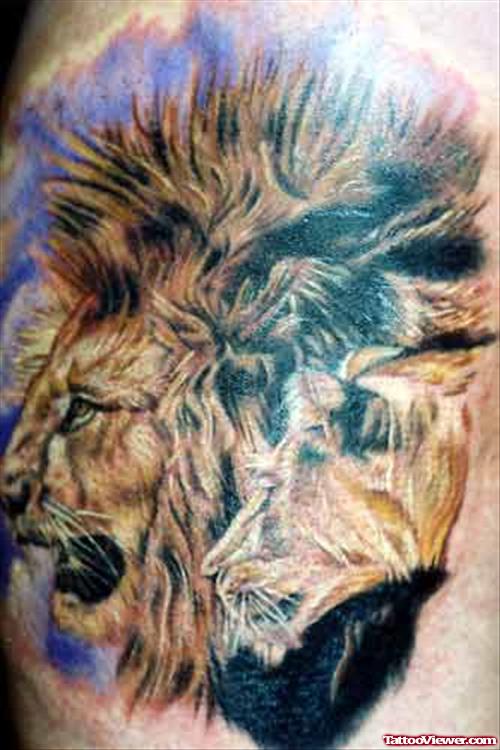 Lion And Tiger Tattoos