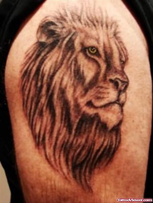 Male Lion Tattoo