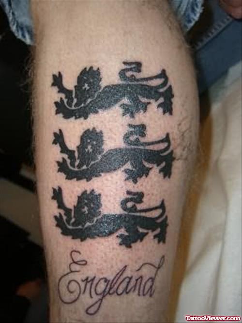 Three Lions Tattoos