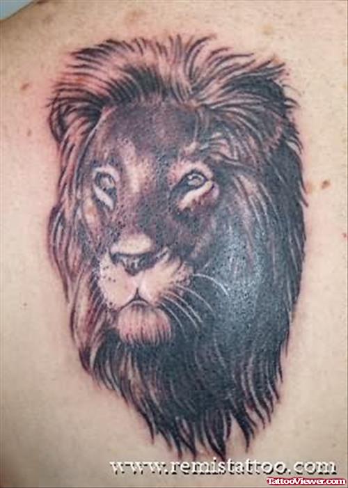 Beautiful Lion Tattoo On Back