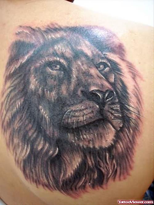 Lion Tattoo Face