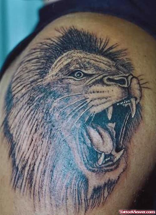 Wild Roaring Lion Tattoo