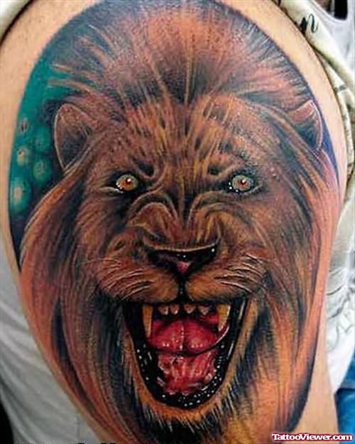 Angry Lion Tattoo Designs